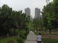 -沐仙湖湿地公园