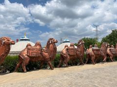-银肯塔拉沙漠生态旅游景区