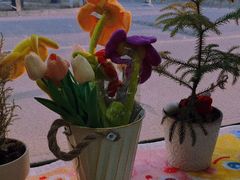 -AHAVA·Fang Baking Studio