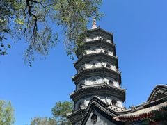 -哈尔滨极乐寺