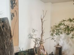 -成川茶店·潮汕工夫浓茶(万象店)