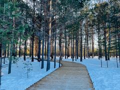 -北极村旅游风景区