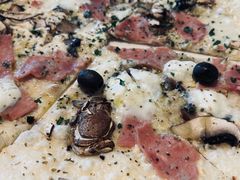 -玛尚诺Pizza&Bar(长泰广场店)