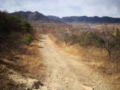 -北京东方普罗旺斯薰衣草庄园