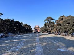 -北陵公园