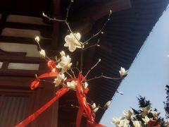 -西安青龙寺遗址景区