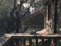 -两棵枇杷树