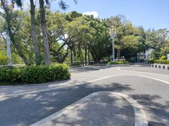 -宝安西湾红树林湿地公园