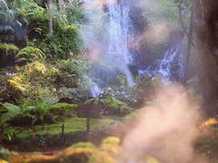 -Chom Cafe and Restaurant