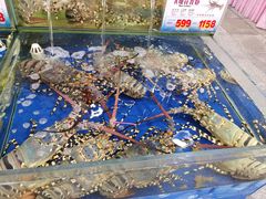 -东江海鲜酒家(艺都分店)