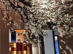 -梅花境(万科店)