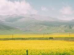 -青海湖国家重点风景名胜区