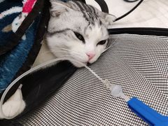 -美联众合24小时·皮肤科·外科·全科诊疗中心(华苑分院)
