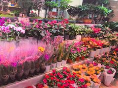 -长春青怡坊鲜花批发(青怡坊花鸟市场店)