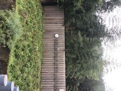 -都江堰中华大熊猫苑