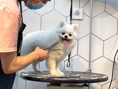 -萌兽医馆·眼科·异宠专科(三里屯店)