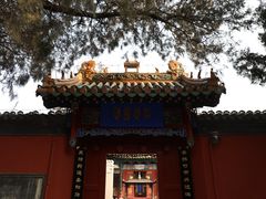 -药王庙(安国市)