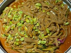 -并州大牌档之醉轻尘