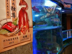 -稻香酒家·35年老字号(侨光店)