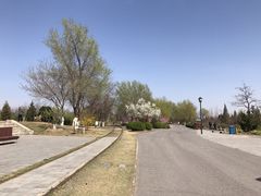 -永定河休闲森林公园