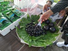 -婺源月亮湾