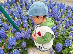 -西湖天地