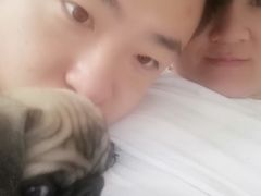 -瑞派宠物医院·24小时骨科·心脏·核磁(哈尔滨南岗店)
