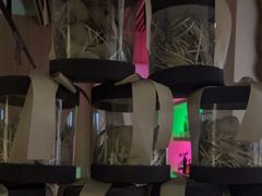 -汤悦温泉汗蒸馆(北京旗舰店)