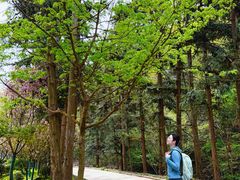 -冶父山国家森林公园