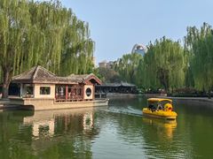 -团结湖公园