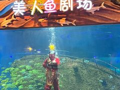 -太奥幻太奇海洋馆