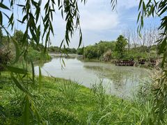 -白鹭湾湿地公园