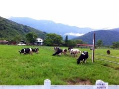 -瑞穗牧场