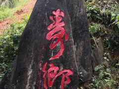 -长寿村
