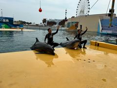 -秦皇岛乐岛海洋王国