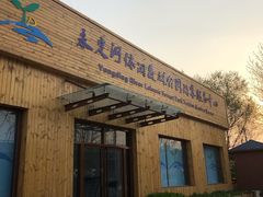 -永定河休闲森林公园