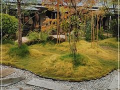 -湘力力小院·鱼汤泡饭(枫林路店)