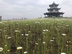 -八大山人梅湖景区