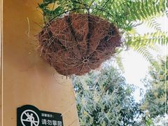-邊渡咖啡