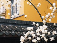 -龙华寺
