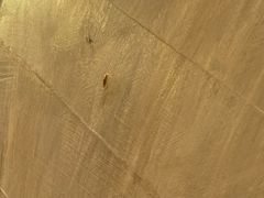 -星伦多自助料理(华润万象城店)