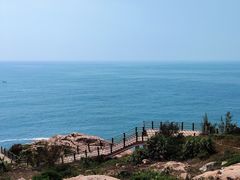 -广东惠东海龟国家级自然保护区