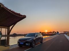 -南大港湿地风景区