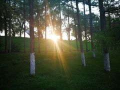 -长春市南湖公园