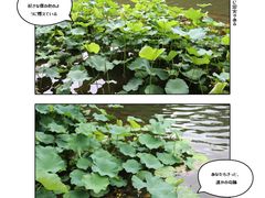 -绮园景区