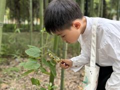 -上海青草地幼儿园