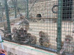 -南京金牛湖风景区