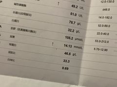 -伟伟宠物医院·CT影像中心·瑞派犬猫综合性门诊(汉口总院)