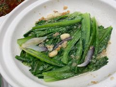 砂锅油麦菜-撒椒·四川江湖菜(西单大悦城店)