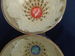 -沈阳市全民健身中心健身馆